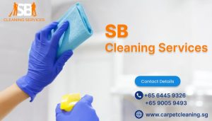 sb cleaning